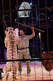 Martin Lacey jr. - kommentierte Raubtierproben am 11.02.2018 (©Foto: Martin Schmitz)